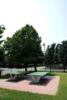 residence punta gro attrezzature sportive